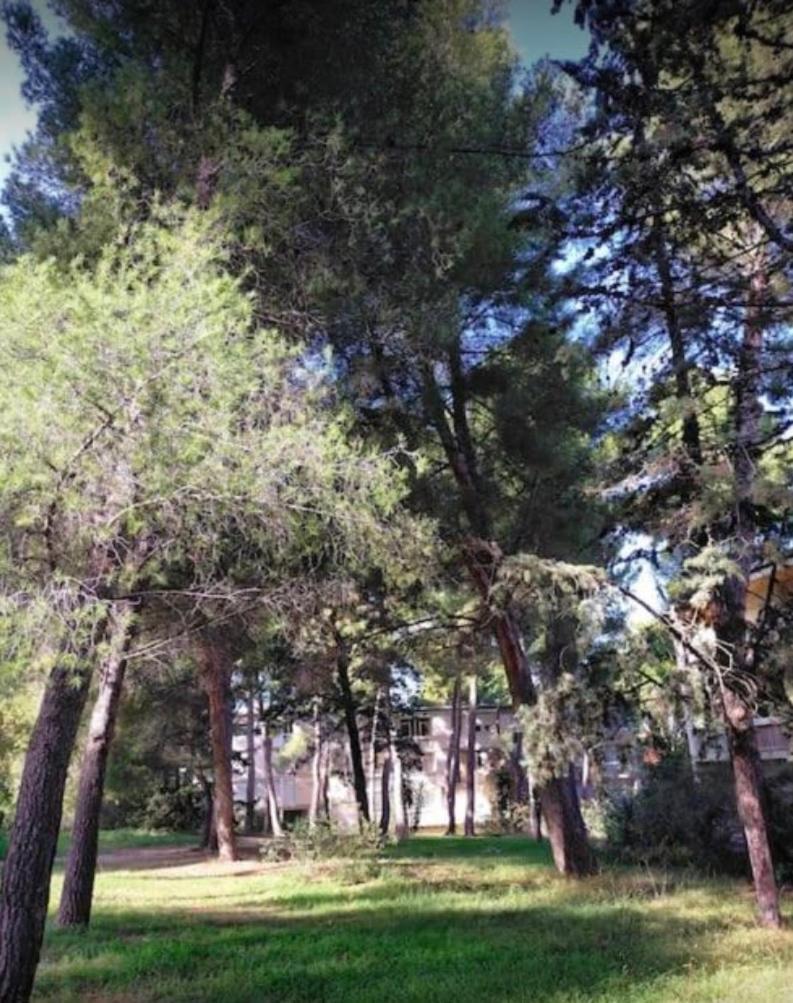 Studio Marseille Calanques Zewnętrze zdjęcie
